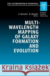 Multiwavelength Mapping of Galaxy Formation and Evolution: Proceedings of the Eso Workshop Held at Venice, Italy, 13-16 October 2003 Renzini, Alvio 9783642065095