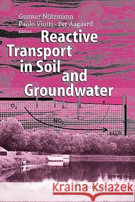 Reactive Transport in Soil and Groundwater: Processes and Models Nützmann, Gunnar 9783642065927 Not Avail