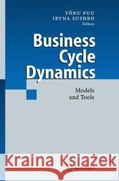 Business Cycle Dynamics: Models and Tools Sushko, Iryna 9783642068799