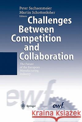 Challenges Between Competition and Collaboration: The Future of the European Manufacturing Industry Sachsenmeier, Peter 9783642072789 Not Avail
