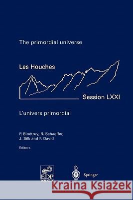 The primordial universe - L'univers primordial: 28 June - 23 July 1999 P. Binetruy, R. Schaeffer, J. Silk, F. David 9783642074257