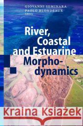 River, Coastal and Estuarine Morphodynamics G. Seminara P. Blondeaux 9783642075308 Not Avail