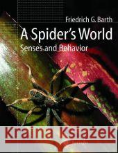A Spider's World: Senses and Behavior Biedermann-Thorson, M. a. 9783642075575 Not Avail