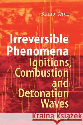 Irreversible Phenomena: Ignitions, Combustion and Detonation Waves Terao, Kunio 9783642080685