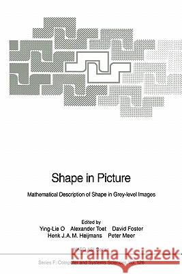 Shape in Picture: Mathematical Description of Shape in Grey-Level Images O, Ying-Lie 9783642081880 Springer