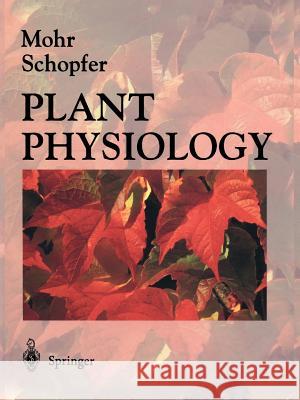 Plant Physiology Hans Mohr Peter Schopfer G. Lawlor 9783642081965 Not Avail