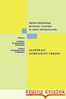 Algebraic Complexity Theory Peter Burgisser Michael Clausen Mohammad A. Shokrollahi 9783642082283 Springer