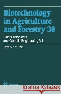 Plant Protoplasts and Genetic Engineering VII Y. P. S. Bajaj 9783642082405 Springer-Verlag Berlin and Heidelberg GmbH & 