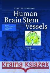 Human Brain Stem Vessels: Including the Pineal Gland and Information on Brain Stem Infarction Guyot, J. 9783642084027 Springer