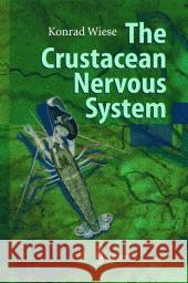 The Crustacean Nervous System Konrad Wiese 9783642086182 Springer