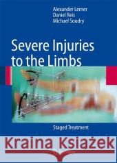 Severe Injuries to the Limbs: Staged Treatment Lerner, Alexander 9783642089367 Not Avail