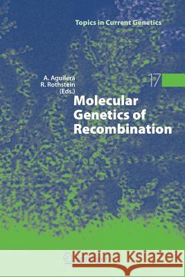 Molecular Genetics of Recombination Andres Aguilera Rodney Rothstein 9783642090059 Springer