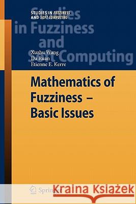 Mathematics of Fuzziness--Basic Issues Wang, Xuzhu 9783642097003