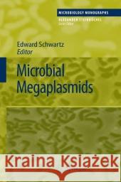 Microbial Megaplasmids Edward Schwartz 9783642099168