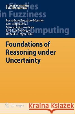 Foundations of Reasoning Under Uncertainty Bouchon-Meunier, Bernadette 9783642107269 Springer