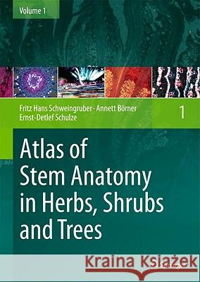Atlas of Stem Anatomy in Herbs, Shrubs and Trees, Volume 1 Schweingruber, Fritz Hans 9783642116377