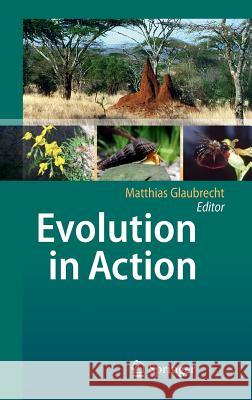 Evolution in Action: Case Studies in Adaptive Radiation, Speciation and the Origin of Biodiversity Glaubrecht, Matthias 9783642124242 Not Avail