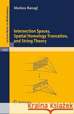 Intersection Spaces, Spatial Homology Truncation, and String Theory Markus Banagl 9783642125881