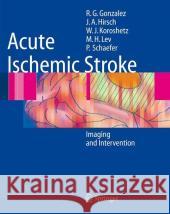 Acute Ischemic Stroke: Imaging and Intervention González, R. Gilberto 9783642127502 Not Avail