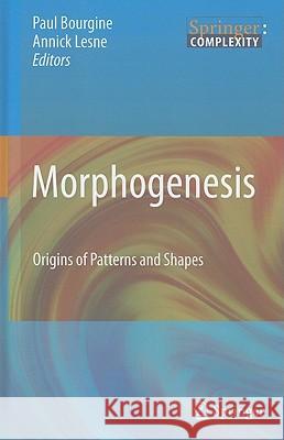 Morphogenesis: Origins of Patterns and Shapes Bourgine, Paul 9783642131738 Not Avail