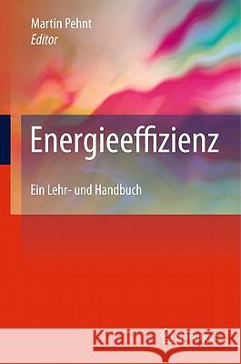 Energieeffizienz: Ein Lehr- Und Handbuch Pehnt, Martin 9783642142505 Springer, Berlin