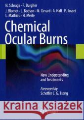 Chemical Ocular Burns: New Understanding and Treatments Schrage, Norbert 9783642145490 Not Avail