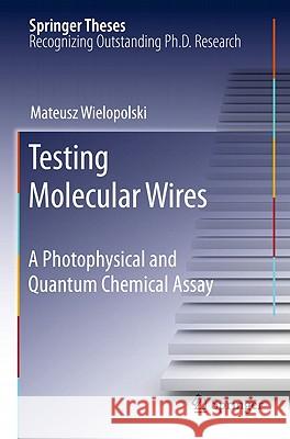 Testing Molecular Wires: A Photophysical and Quantum Chemical Assay Wielopolski, Mateusz 9783642147395 Not Avail