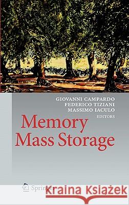 Memory Mass Storage Giovanni Campardo F. Tiziani Massimo Iaculo 9783642147517 Not Avail