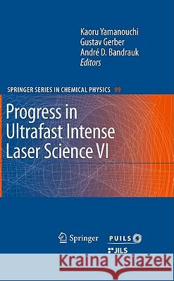 Progress in Ultrafast Intense Laser Science VI Kaoru Yamanouchi Gustav Gerber Andre D. Bandrauk 9783642150531 Not Avail