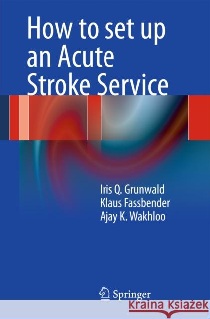 How to Set Up an Acute Stroke Service Grunwald, Iris Q. 9783642214042 Springer