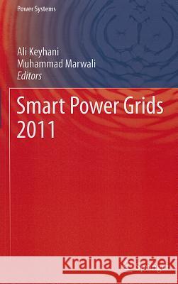 Smart Power Grids Keyhani, Ali 9783642215773 Springer