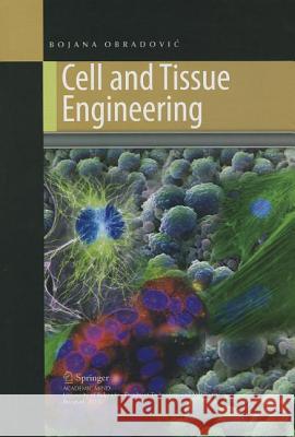 Cell and Tissue Engineering Bojana Obradovi 9783642219122 Springer