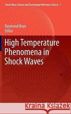 High Temperature Phenomena in Shock Waves Raymond Brun 9783642251184 Springer
