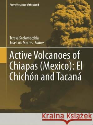 Active Volcanoes of Chiapas (Mexico): El Chichón and Tacaná Scolamacchia, Teresa 9783642258893 Springer