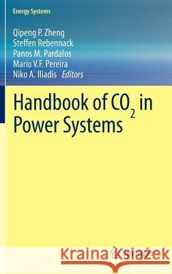 Handbook of Co₂ In Power Systems Zheng, Qipeng P. 9783642274305 Springer