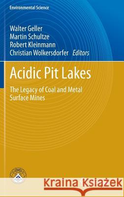 Acidic Pit Lakes: The Legacy of Coal and Metal Surface Mines Geller, Walter 9783642293832 Springer, Berlin