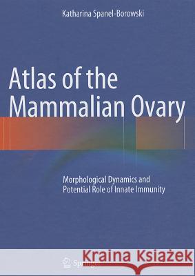 Atlas of the Mammalian Ovary: Morphological Dynamics and Potential Role of Innate Immunity Spanel-Borowski, Katharina 9783642305344 Springer