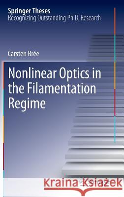 Nonlinear Optics in the Filamentation Regime Carsten B 9783642309298 Springer