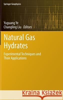 Natural Gas Hydrates: Experimental Techniques and Their Applications Ye, Yuguang 9783642311000 Springer