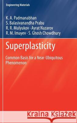 Superplasticity: Common Basis for a Near-Ubiquitous Phenomenon Padmanabhan, K. a. 9783642319563 Springer