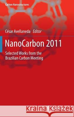 NanoCarbon 2011: Selected works from the Brazilian Carbon Meeting César Avellaneda 9783642319594 Springer-Verlag Berlin and Heidelberg GmbH & 