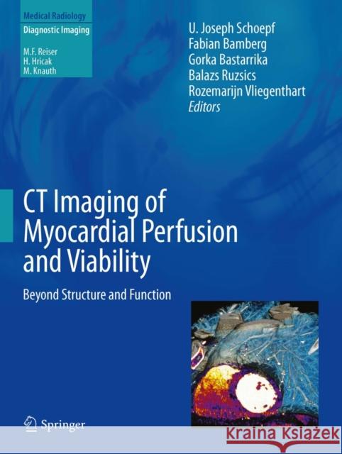 CT Imaging of Myocardial Perfusion and Viability: Beyond Structure and Function Schoepf, U. Joseph 9783642338786