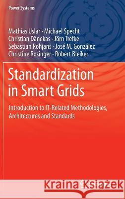 Standardization in Smart Grids: Introduction to It-Related Methodologies, Architectures and Standards Uslar, Mathias 9783642349157 Springer