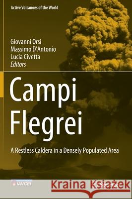 Campi Flegrei: A Restless Caldera in a Densely Populated Area Orsi, Giovanni 9783642370595 Springer