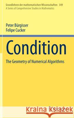Condition: The Geometry of Numerical Algorithms Bürgisser, Peter 9783642388958