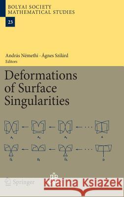 Deformations of Surface Singularities Andras Nemethi Agnes Szilard 9783642391309 Springer