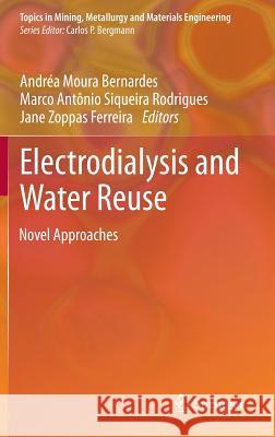 Electrodialysis and Water Reuse: Novel Approaches Moura Bernardes, Andréa 9783642402487 Springer