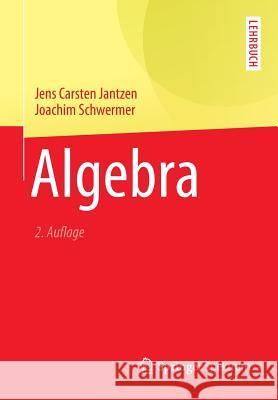 Algebra Jens Carsten Jantzen Joachim Schwermer 9783642405327 Springer Spektrum