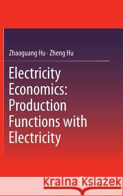 Electricity Economics: Production Functions with Electricity Zhaoguang Hu Zheng Hu 9783642407567 Springer