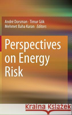 Perspectives on Energy Risk Andre Dorsman Timur Gok Mehmet Baha Karan 9783642415951 Springer